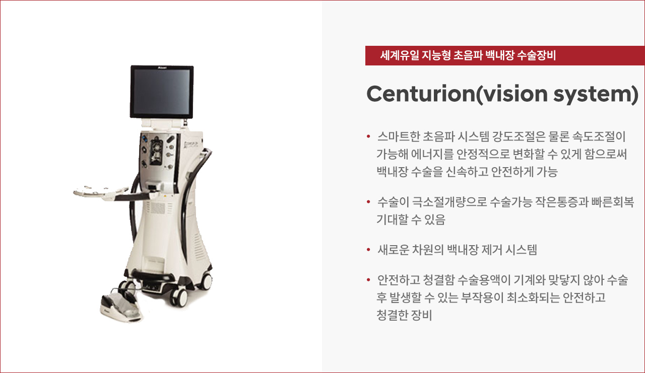 썸네일 큰 사진