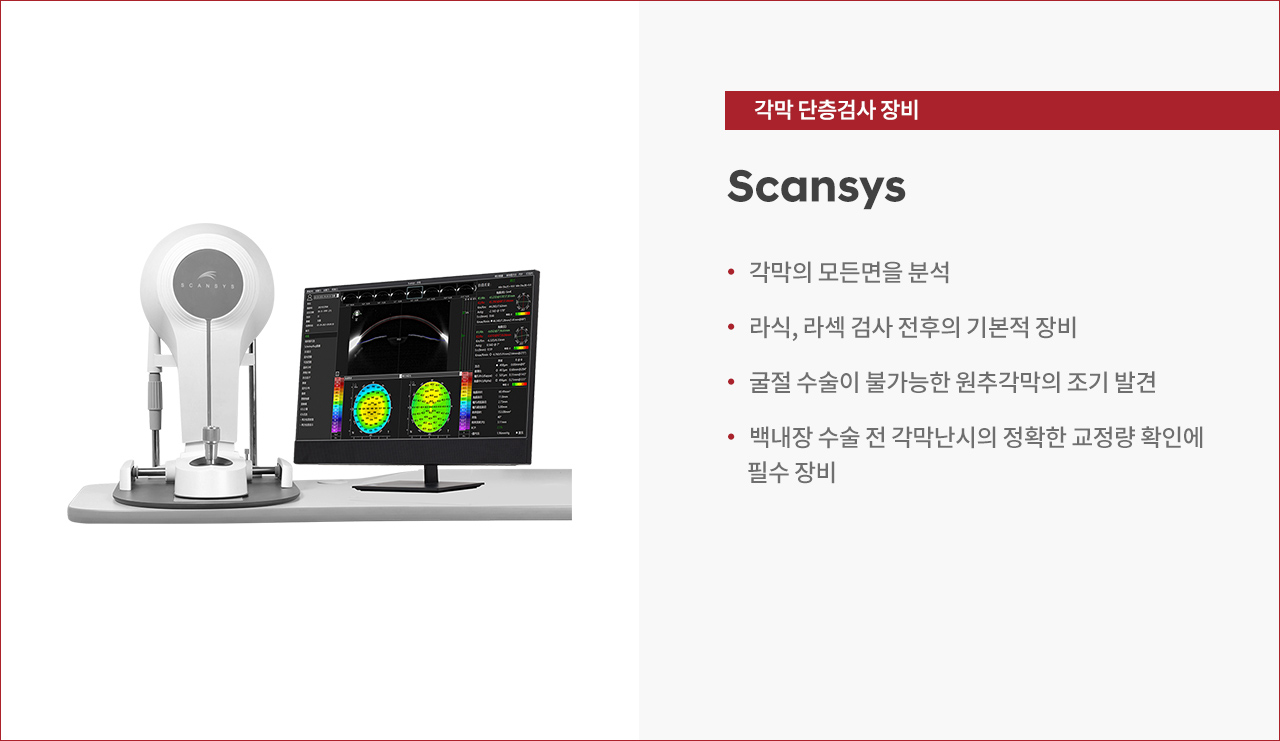 썸네일 큰 사진