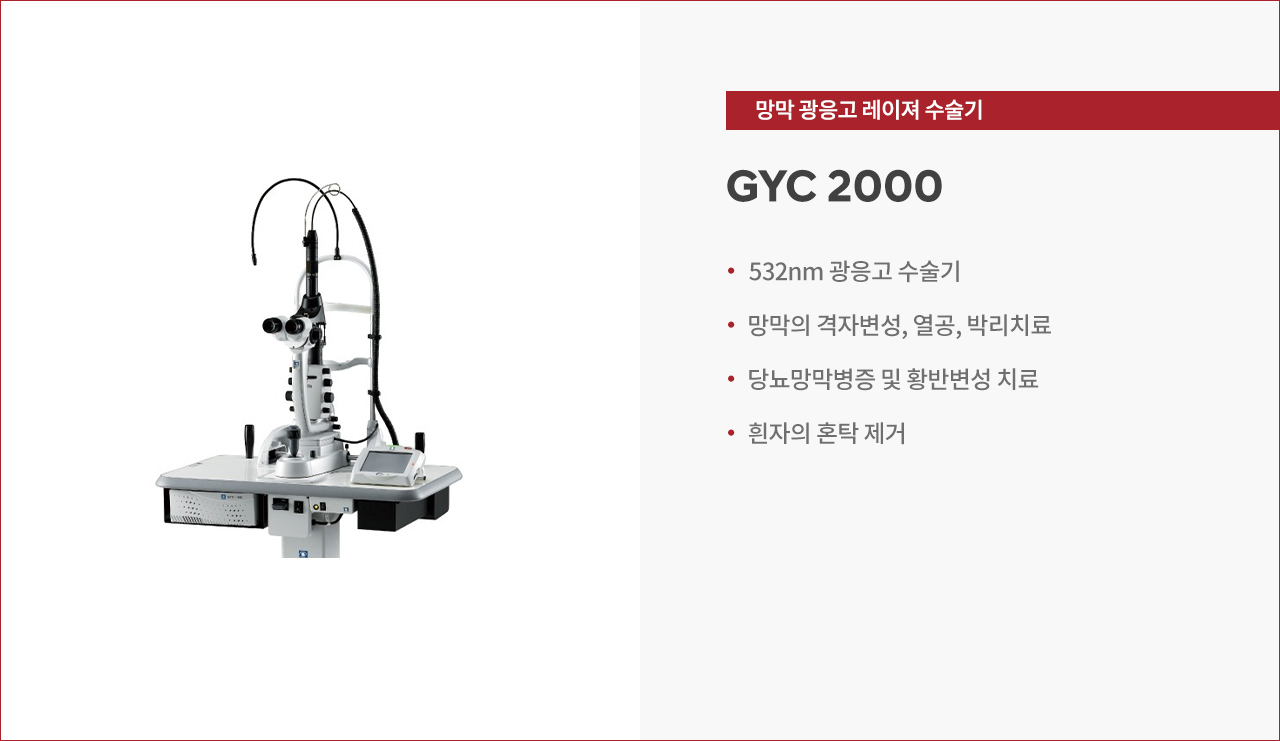 썸네일 큰 사진