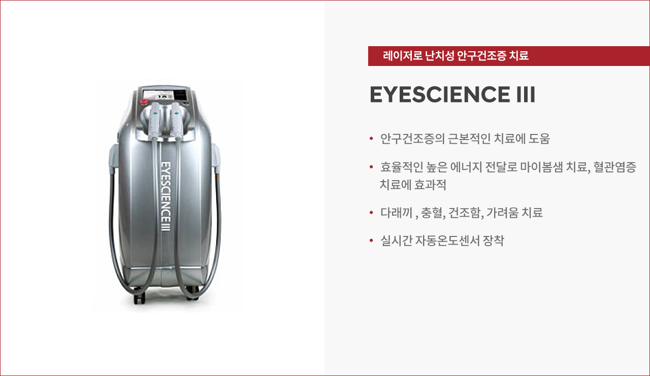 썸네일 큰 사진