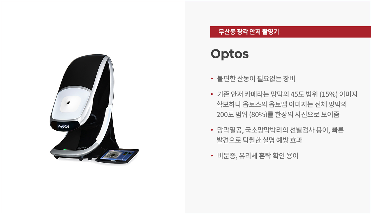 썸네일 큰 사진
